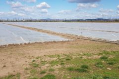 photo_2022-04-10_17-32-01-2