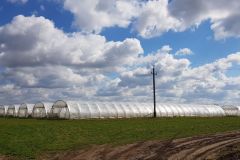 photo_2022-04-10_17-32-02